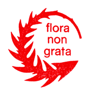 Ruth Handschin, flora-non-grata logo 1